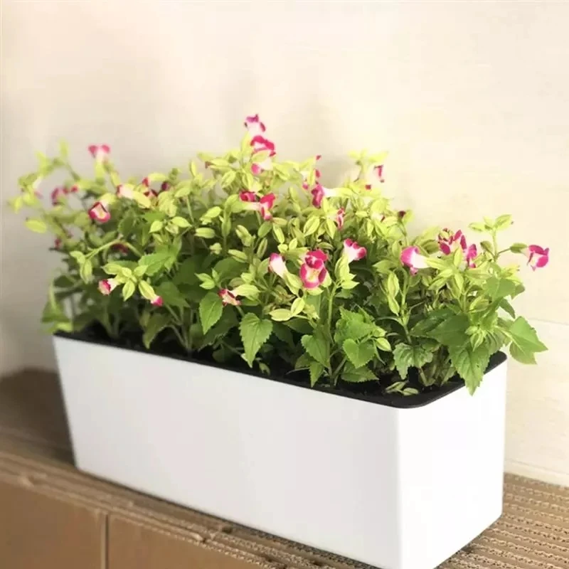 Automatic Plant Waterer - Pot Bunga Malas Persegi Panjang Pot
