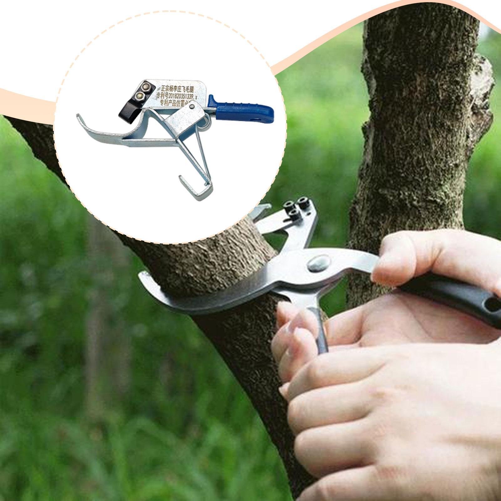 Alat Pengikat Batang Pohon Bua - Gardening Tools Essential ulasan dan harga