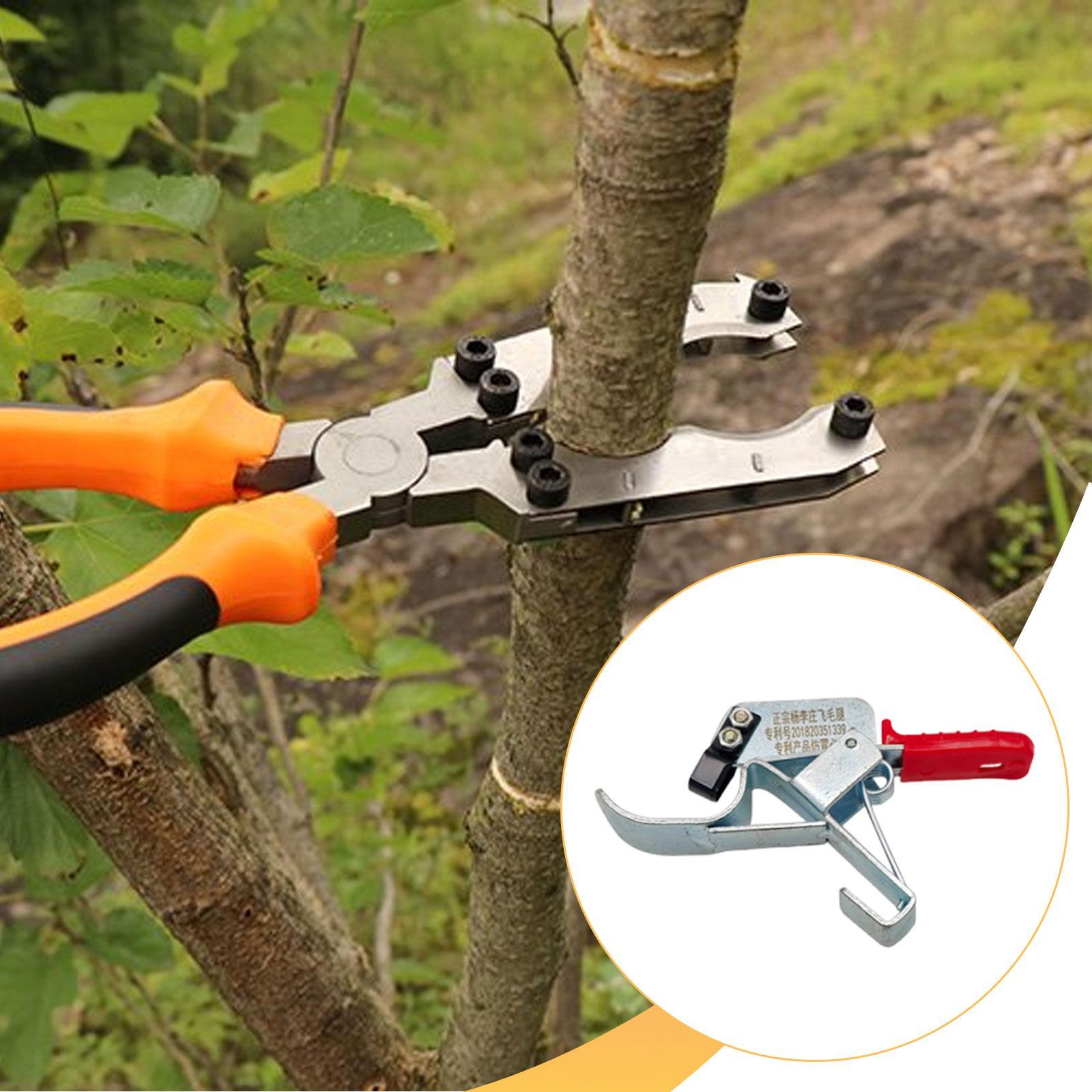Alat Pengikat Batang Pohon Bua - Gardening Tools Essential ulasan dan harga