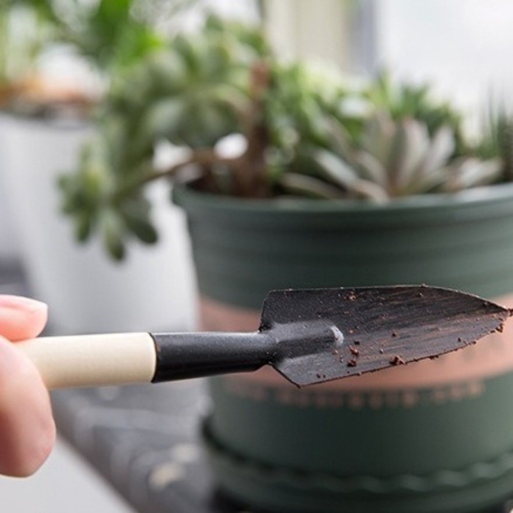 Set Alat Berkebun Mini Multifu - Spade Digging Fork ulasan dan harga