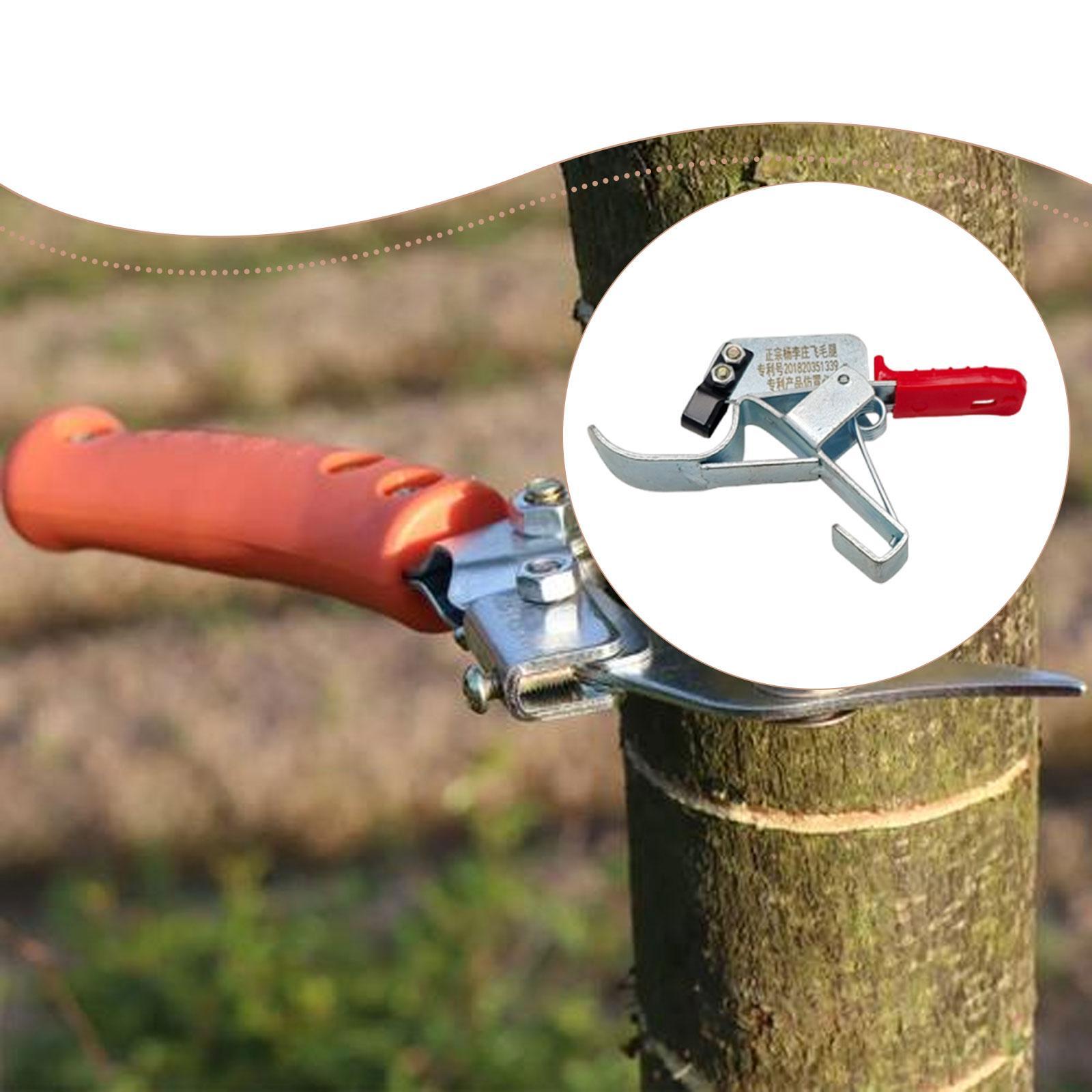 1 buah Alat Pengikat Pohon Bua - Gardening Tools Essential ulasan dan harga