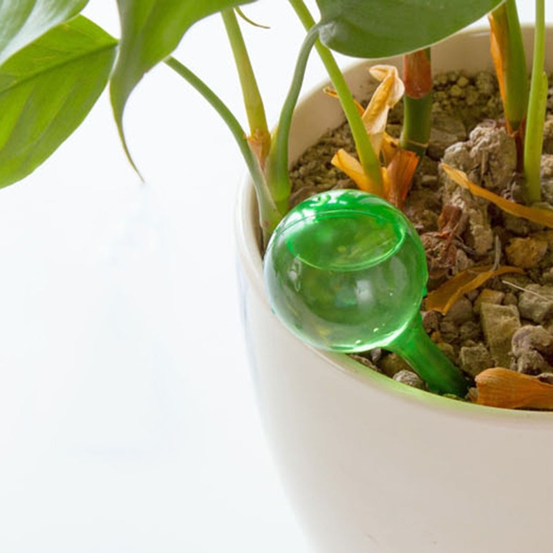 Pengumpan air tanaman otomatis - Automatic Plant Waterer ulasan dan harga