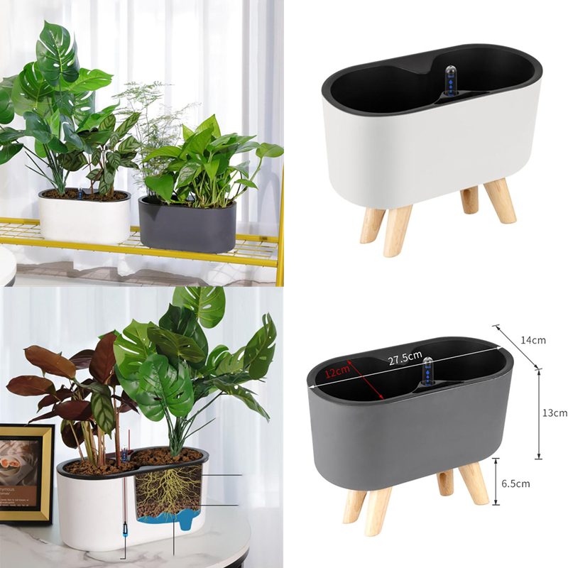 Tanaman Dalam Ruangan dengan I - Automatic Plant Waterer ulasan dan harga