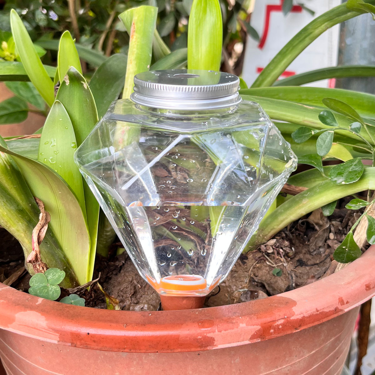 1 Buah Mesin Penyiram Plastik  - Automatic Plant Waterer ulasan dan harga
