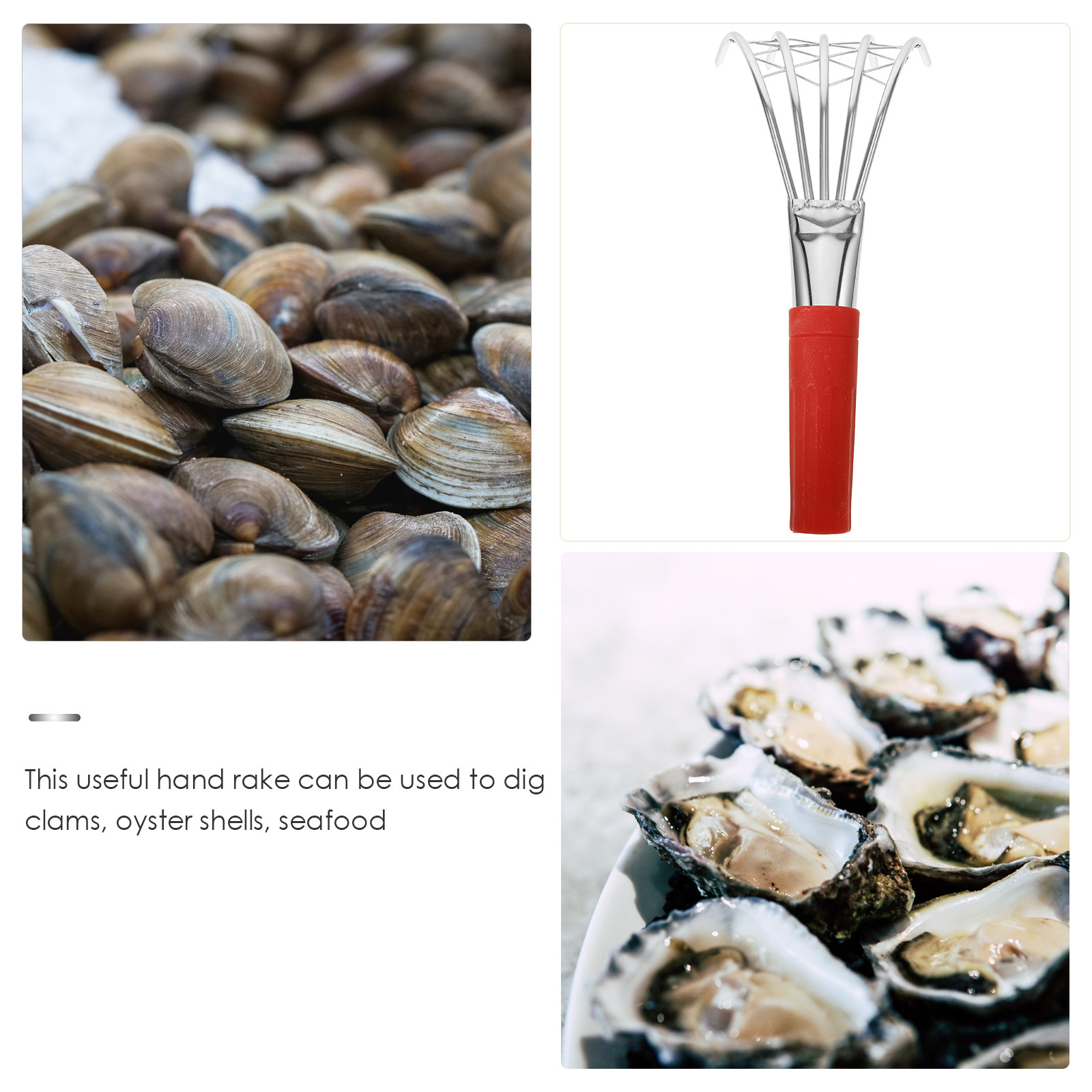 Alat Penggali Kerang Berbentuk - Gardening Tools Essential ulasan dan harga